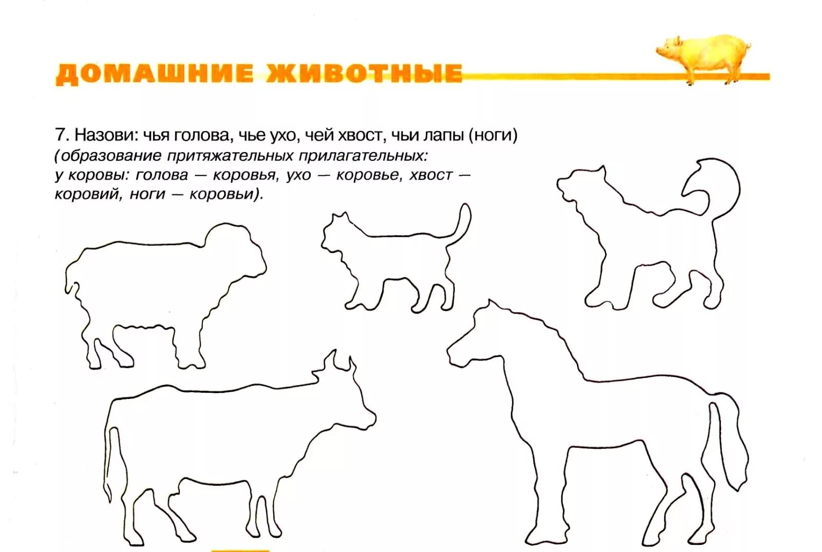 Домашние животные задания. Задания по теме домашние животные. Домашние задания домашние животные. Домашние задания по теме домашние животные.