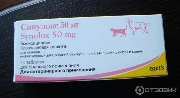 Можно ли давать антибиотик собаке. Амоксициллин антибиотик котам. Антибиотик от цистита для собак. Антибиотики от цистита у собак в таблетках. Антибиотик амоксициллин для кошек в таблетках.