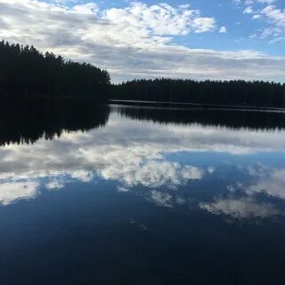 Зеленогорск яппиля