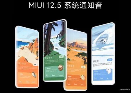 Miui 12.5 6