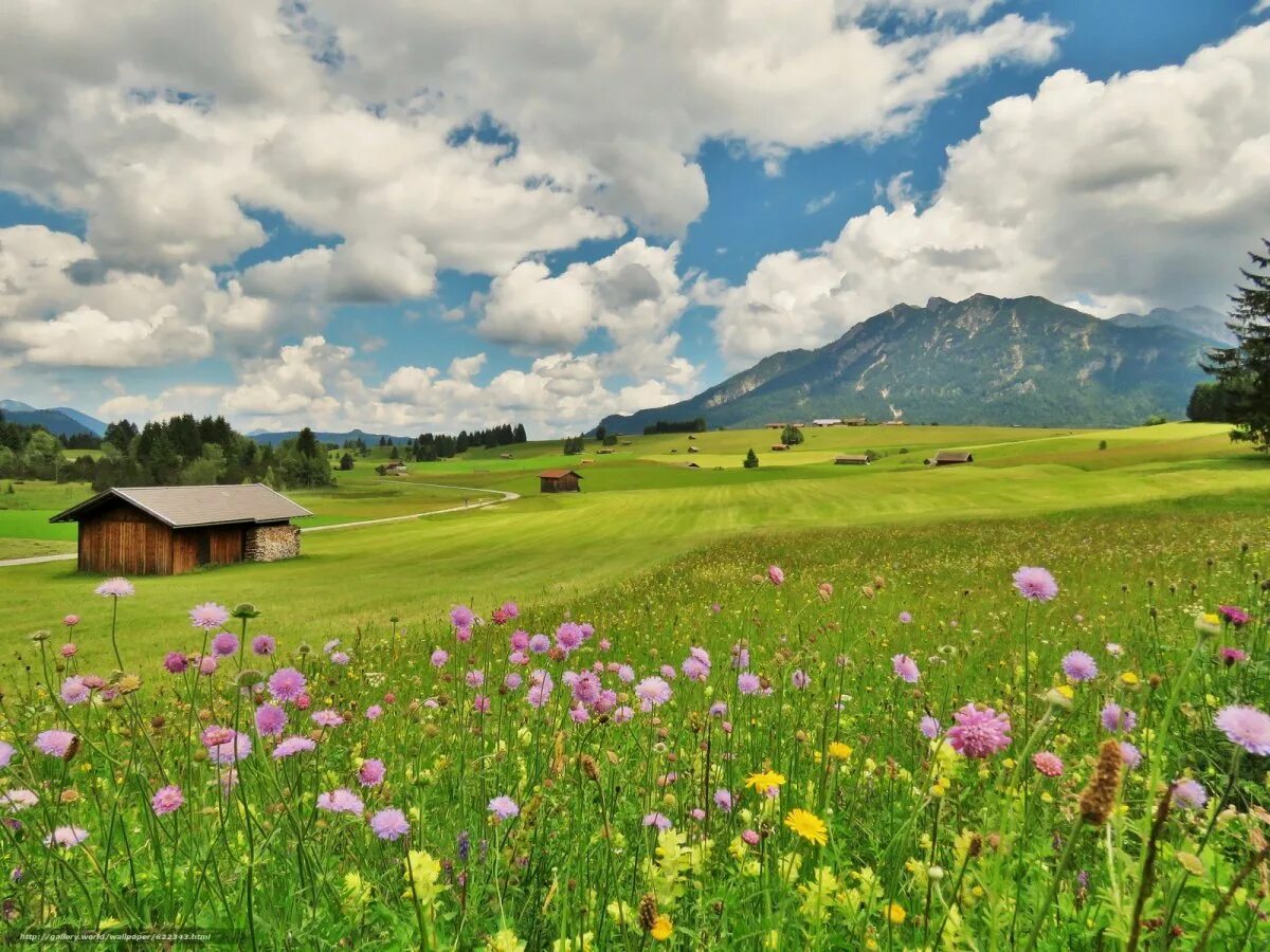 горная деревня закарпатья. деревня горы 1. кардица греция фото. деревенский домик на холме. бельгия швейцария природа.