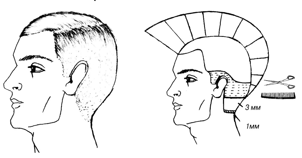 Как стричь мужские стрижки для начинающих. Стрижка полубокс схема выполнения. Стрижка полубокс бокс схема стрижки. Мужские стрижки бокс полубокс канадка. Стрижка полубокс мужская схема выполнения.