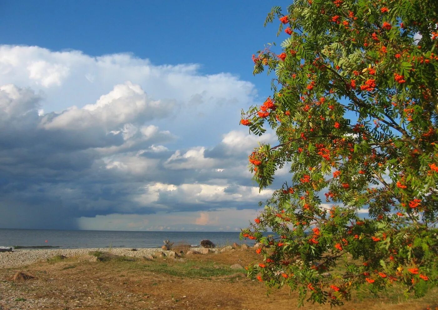 Месяц серпень по русски. Август природа. Конец августа природа. Лето август природа. Август пейзаж.