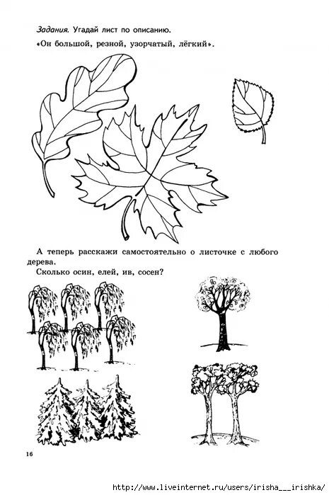 Деревья задания для дошкольников. Развивающие задания на тему деревья. Тема деревья задания для дошкольников. Деревья и кусты задания для дошкольников. Тема деревья в подготовительной группе