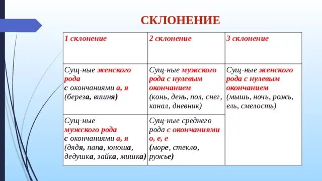 Березками окончание какое. Березки склонение. Склонение существительных береза. Береза склонение. Склоненная береза.