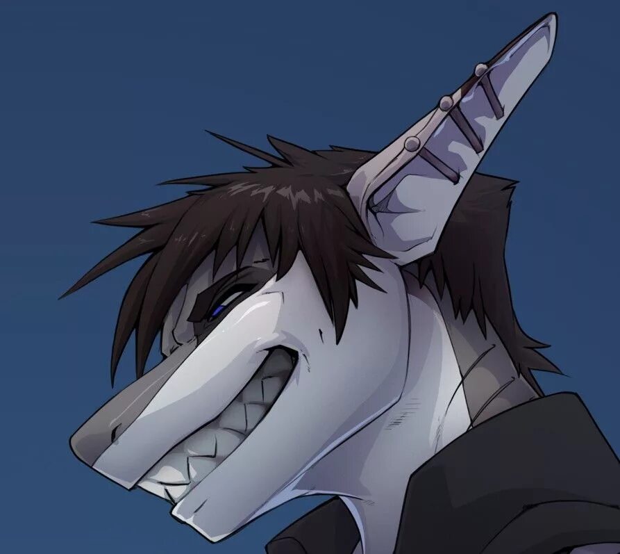 Волк аниме акула. Акула волк. Хвост волка. Смесь акулы и волка. Хвост акулы фурри.