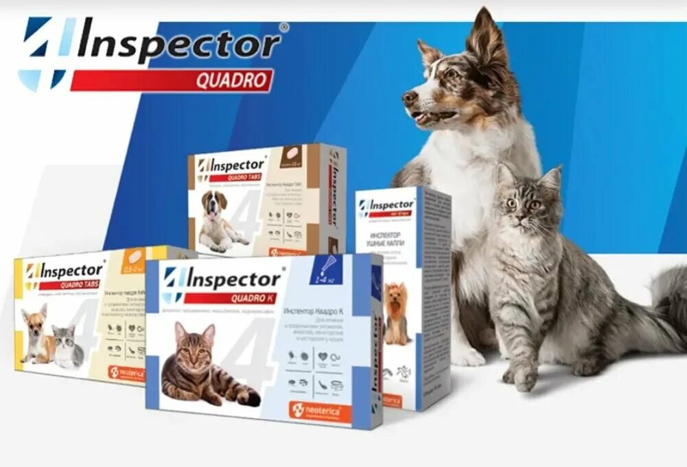 Инспектор табс таблетки для собак. Inspector quadro tabs. инспектор квадро табс 2-8 кг. инспектор квадро табс для кошек. таблетки инспектор табс для кошек квадро.