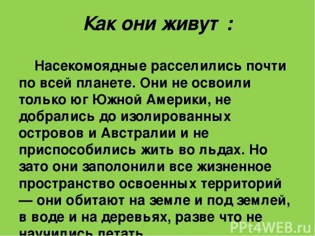 Место обитания насекомоядных. Насекомоядные ареал обитания.