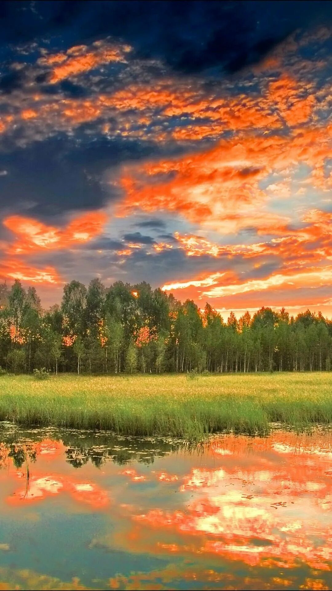 Пейзаж. Пейзажи природы. Профессиональные пейзажи. Прекрасная природа. Заставка на телефон вертикальная природа