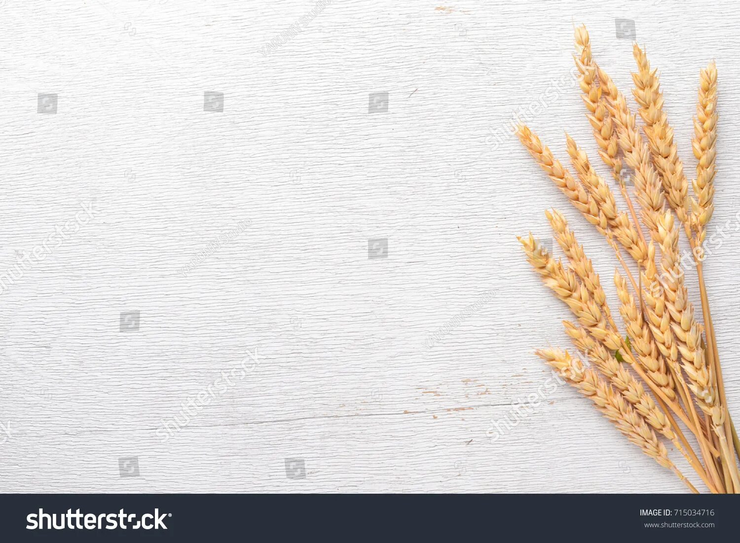White wheat