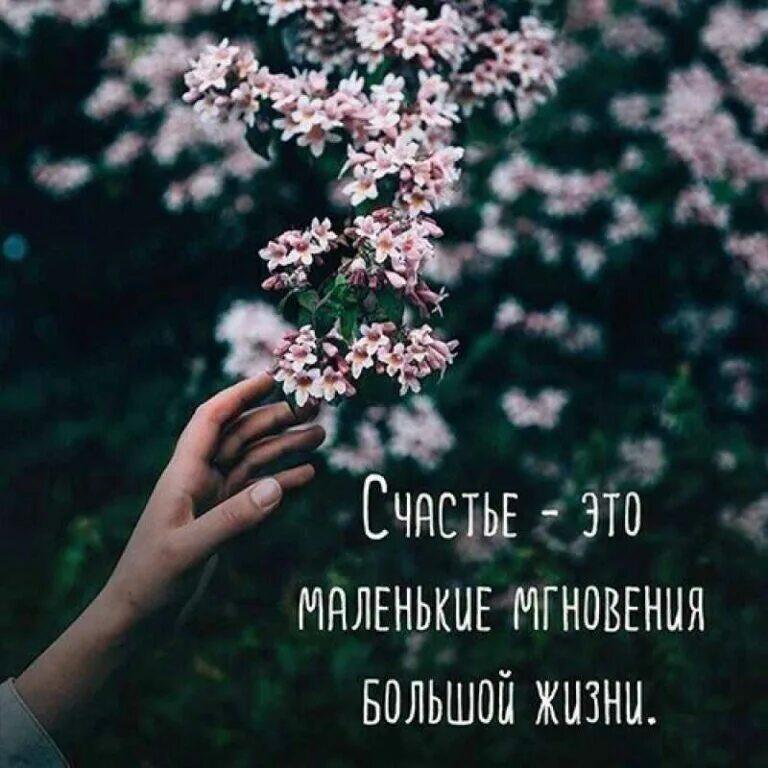 Какое счастье цитаты. Цитаты про счастье. афоризмы про счастье. высказывания о счастье. красивые цитаты про счастье.