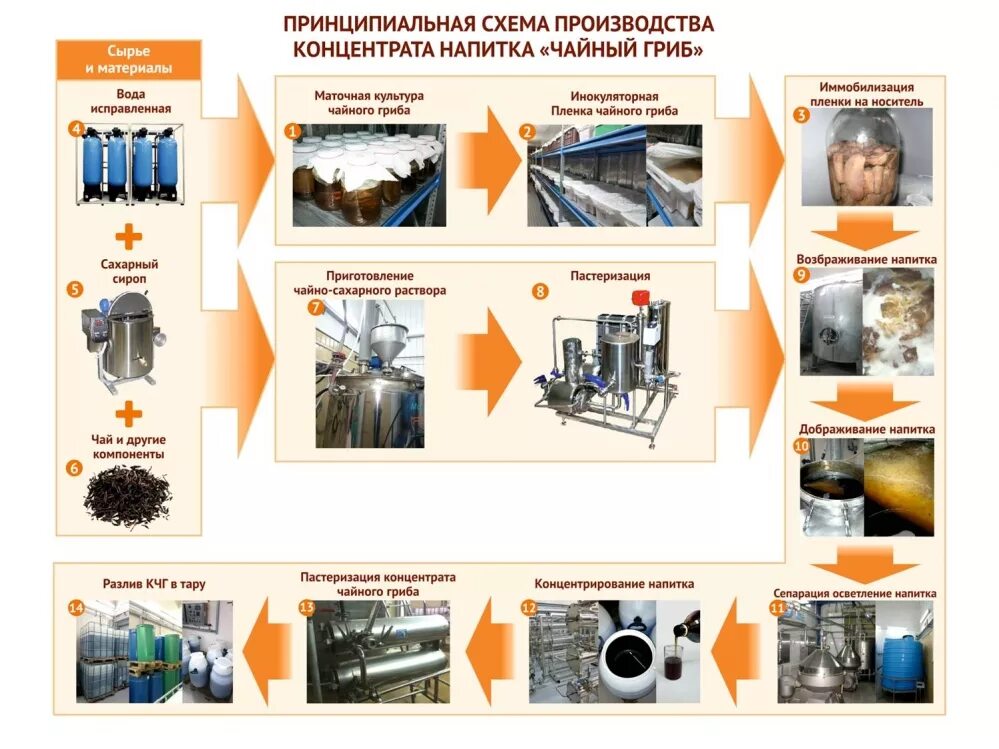 Компания полного цикла производства. Сырье для изготовления напитков. Этапы чайное производство. Технология производства лимонада. Технология производства напитка на основе чая.