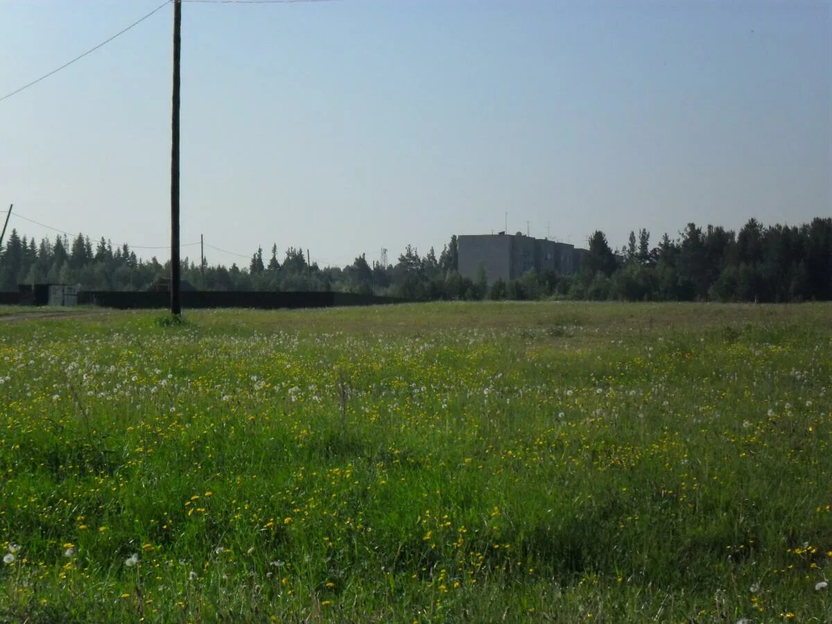 Пустыри в московской области. Пустырь пыталово. Пустырь в деревне. Льнозавод пыталово. Русские пустыри.