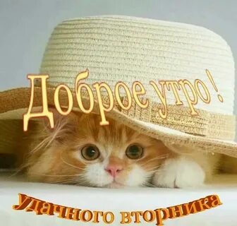 Удачного картинка смешная