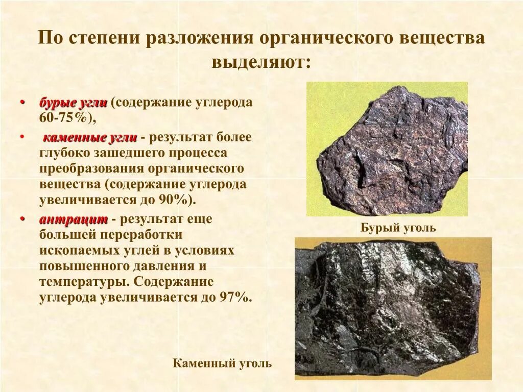Органические осадочные породы. Осадочные органические горные породы. Каменный уголь Горная порода. Каменный уголь содержание углерода. Классификация каменного угля