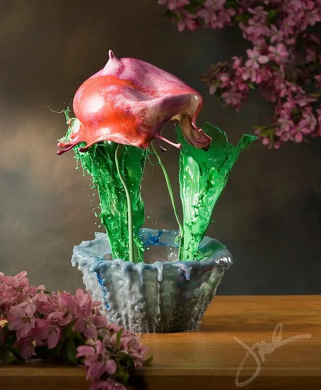 Невероятный цвет. Джек Лонг фотограф Милуоки цветы. Жидкие цветы Джека Лонга. Необычные комнатные цветы. Сказочные цветы.