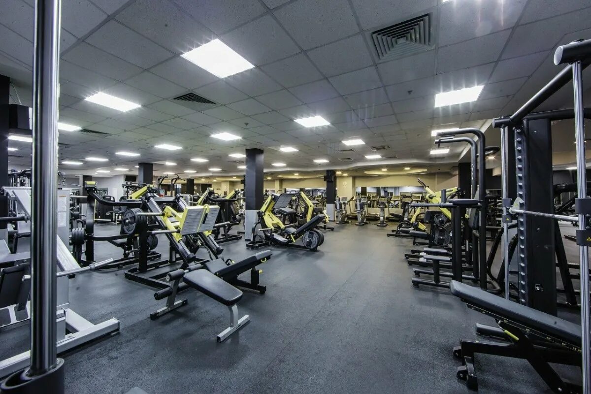 Alex fitness спб ленинский проспект. Санкт-петербург невский проспект 114-116 alex fitness. Алекс фитнес петербург. Алекс фитнес петербург. Алекс фитнес петербург.