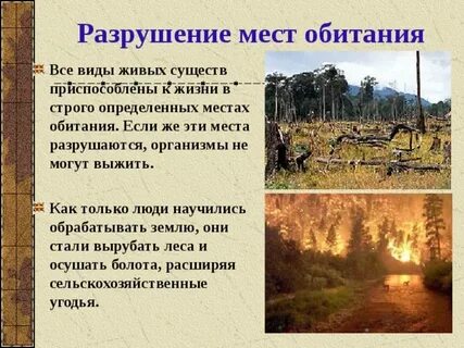Разрушение примеры