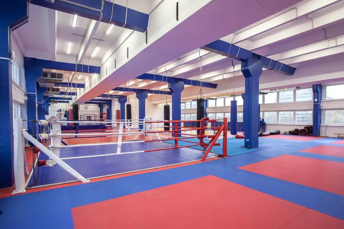 зал единоборств. центр единоборств победа свиблово. маленький зал единоборств. московский центр боевых искусств зал. спортивный зал.
