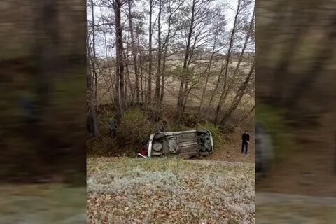Телеграм орск