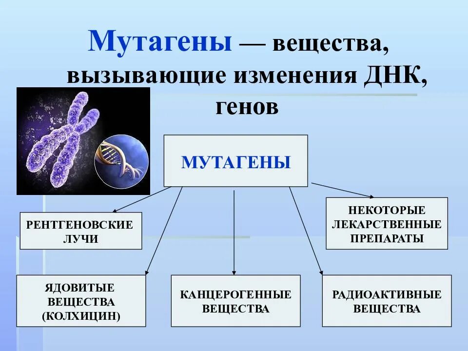 Фактор вызывающий наследственные изменения. Вещества мутагены. Биологические мутагены. Мутагенные факторы генетика. Мутагены химические и биологические.