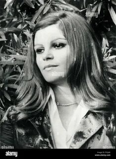 Dee dee wilde