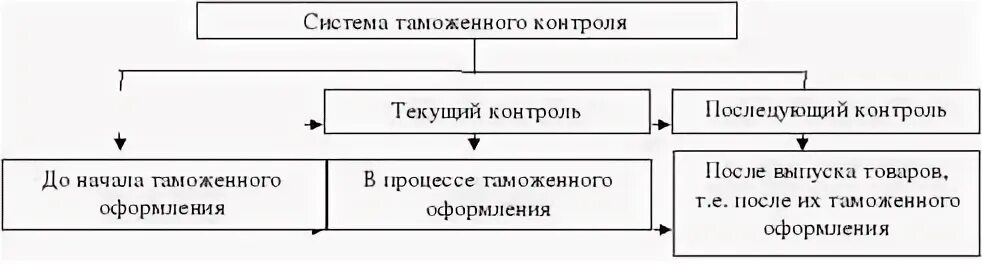Порядок таможенного контроля транспортных средств