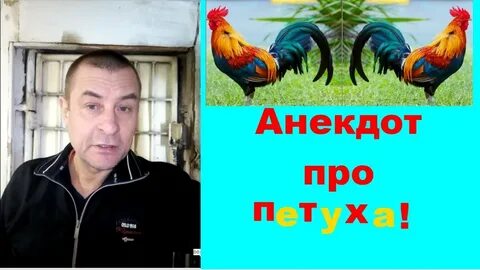 Анекдот петух