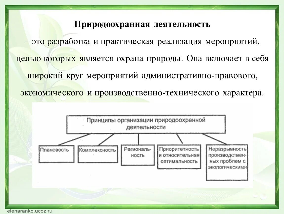 Принципы природоохранной деятельности. Основные направления природоохранной деятельности. Назовите принципы природоохранной деятельности. Схема направления природоохранной деятельности. Основа природоохранной деятельности