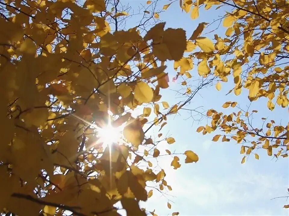 Осень солнце песня. Осенью светит солнце. Осеннее солнце светит. Осень Солнечная погода. Солнечная осенняя погода.