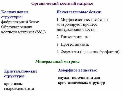 Костный белок