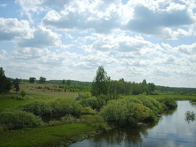 Погода в шаровичах. Шаровичи Брянская область. Шаровичи. Шаровичи Рогнединский район Брянская область.