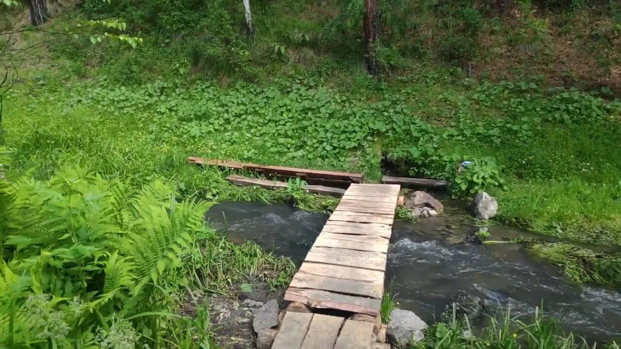 Видели в лесу родник с оранжевыми. Тимоховский парк ручей. Валдай ручей Язынец. Ключ ручей Родник Можайка. Кустаревка Родник.