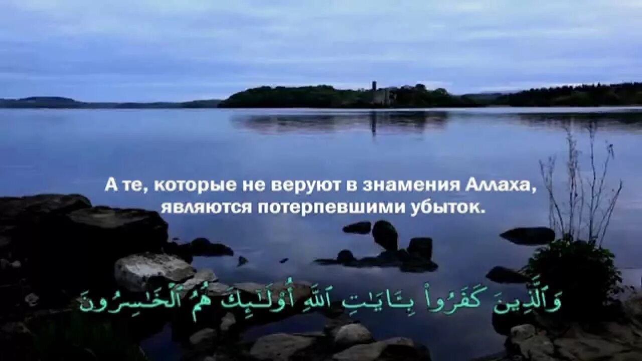 Сура 39. Аллах создатель всякой вещи. сура зумар 53. сура зумар 53 аят. коран сура 39 аят 53.