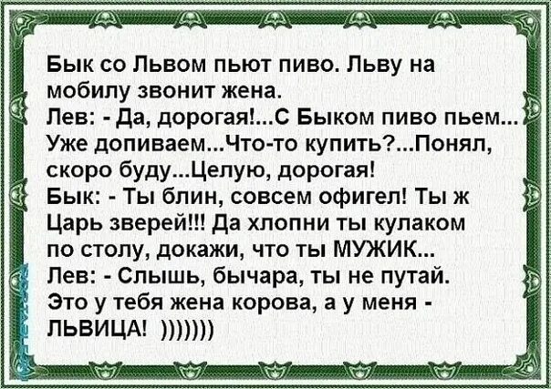 Анекдот про Льва и быка. Анекдот про жену Льва и быка. Бык со львом пьют пиво. Анекдот про Льва. Позвони жене 2