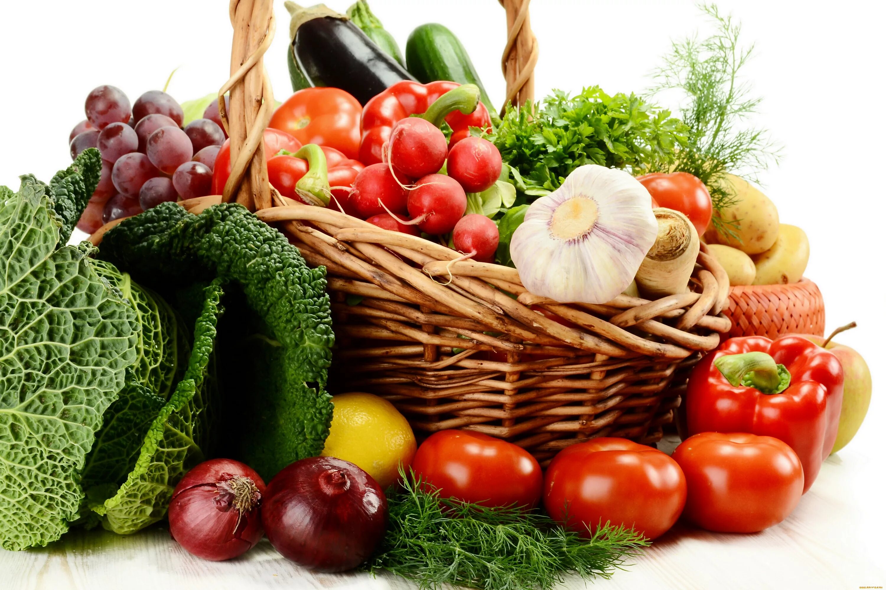 Соберем урожай вместе. Овощи и фрукты. Урожай овощей и фруктов. Корзинка с овощами. Корзинка с овощами и фруктами.