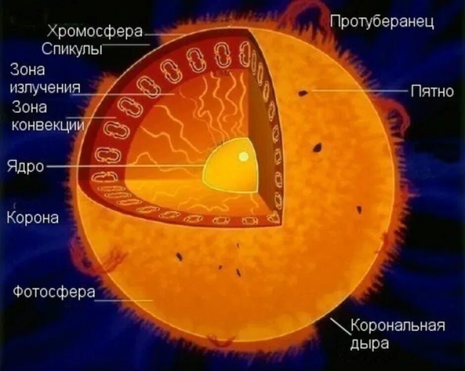 Видимая поверхность солнца называется. Внутреннее строение солнца схема. Внутренне строение солнца ядро. Внутреннее строение солнца слои. Строение солнца внутреннее и внешнее.