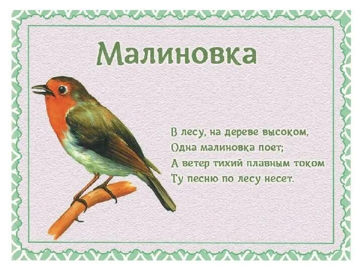 Стихи про птиц детям 5 лет. Стихи про птиц. стих о пнрелетных птицах. стишок про птиц для детей. загадки про птиц для детей.