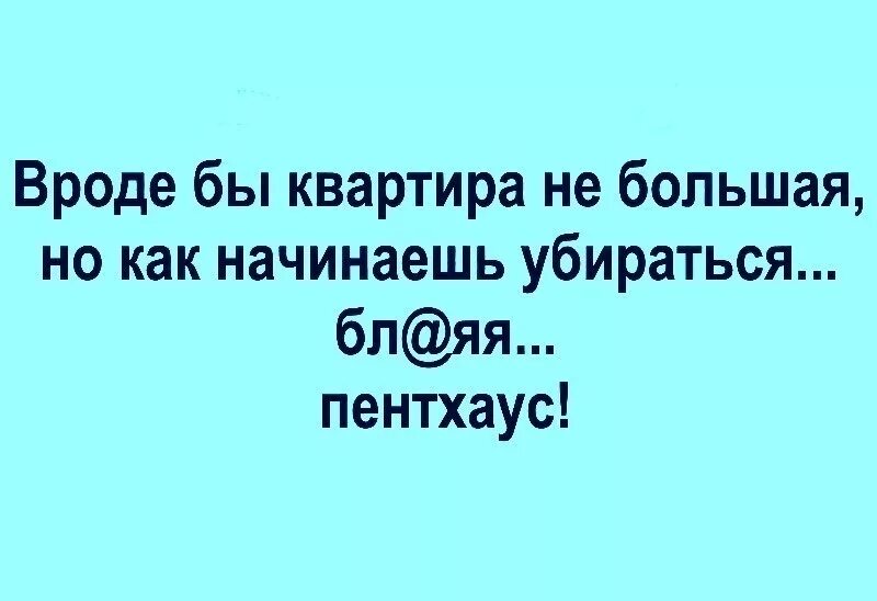 Вроде не маленький. Начинаешь убираться пентхаус. Вроде квартира небольшая как начнешь убираться пентхаус. Квартира вроде маленькая но как начинаешь убираться блин пентхаус. Квартира вроде маленькая но как начинаешь убираться.