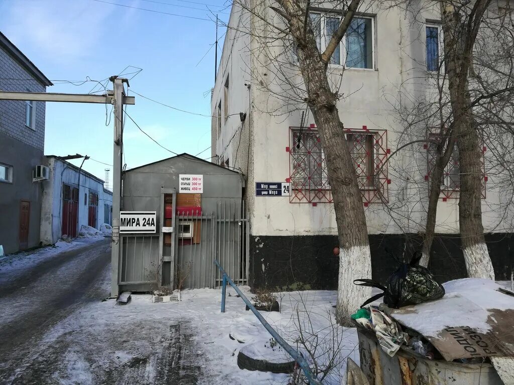 павлодар 24