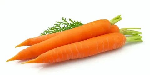 Семіз есектер және анальный супер порно