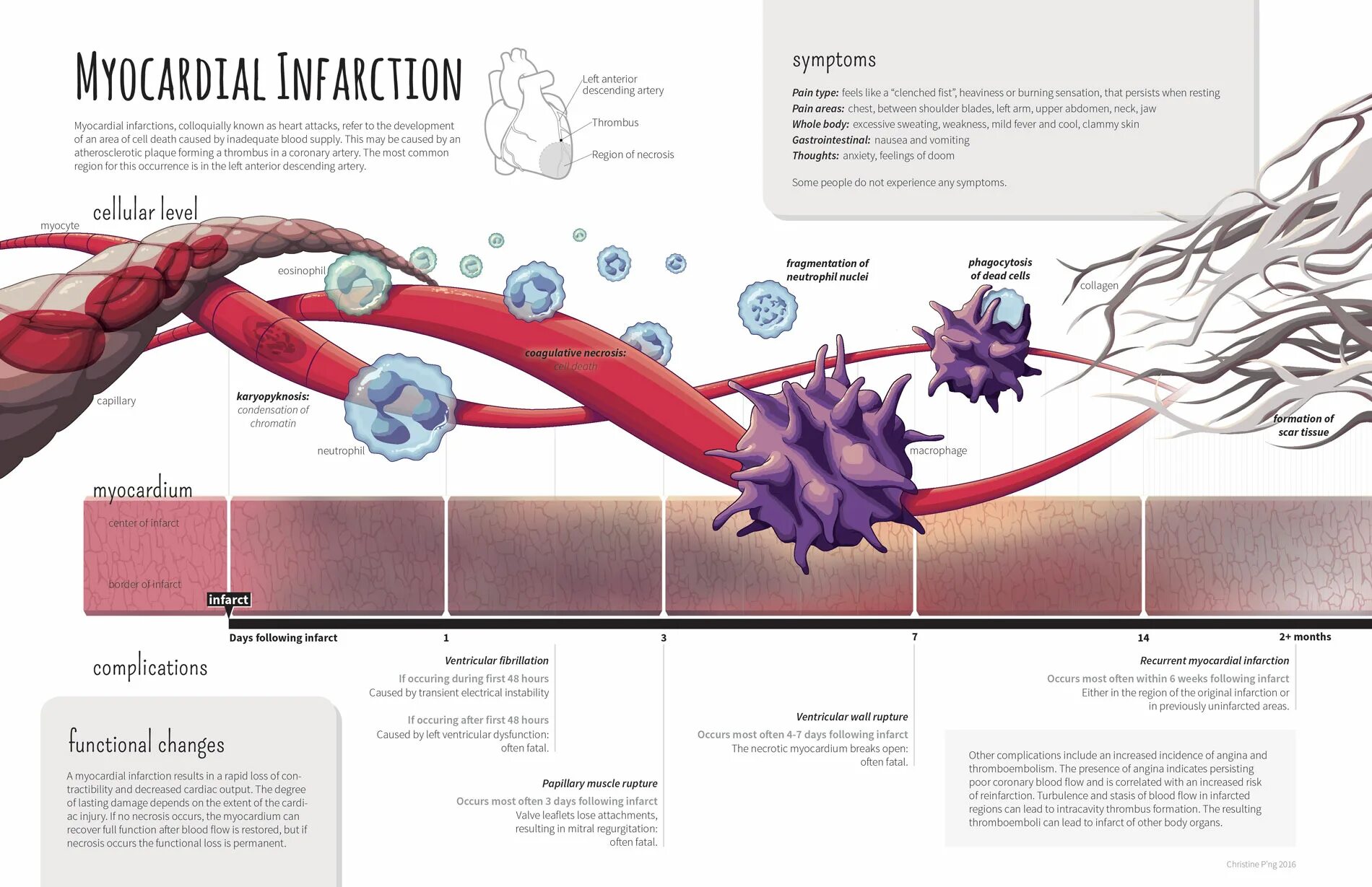Social boundaries. Гипонатриемия симптомы. That occurs in the. Математический комикс 6 класс. That occurs in the.