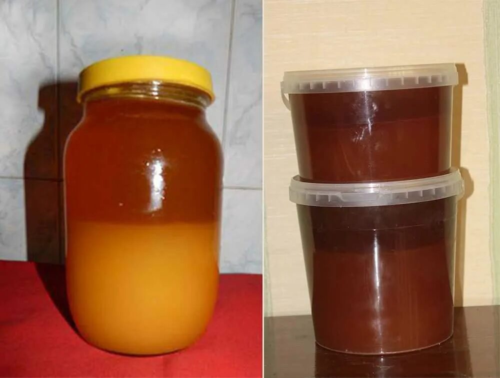 Нужно ли есть мед. Забродивший мед. Мед расслоился. Мёд натуральный. Гречишный мед расслоился.