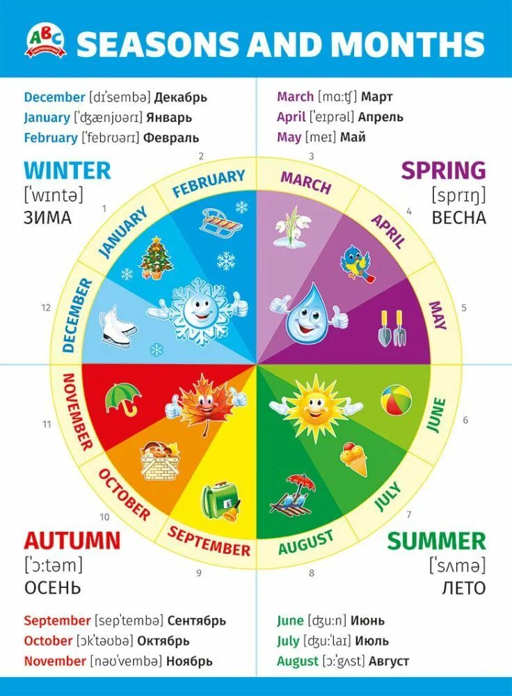 Времена года на английском. Плакат Seasons and months. Название времен года на английском. Времена года и месяцы на английском для детей.