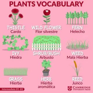 Planting vocabulary