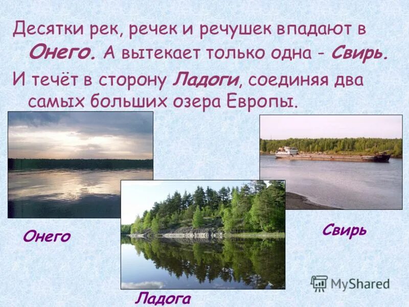 Река европейской части россии соединяющая ладожское озеро. Река Свирь.