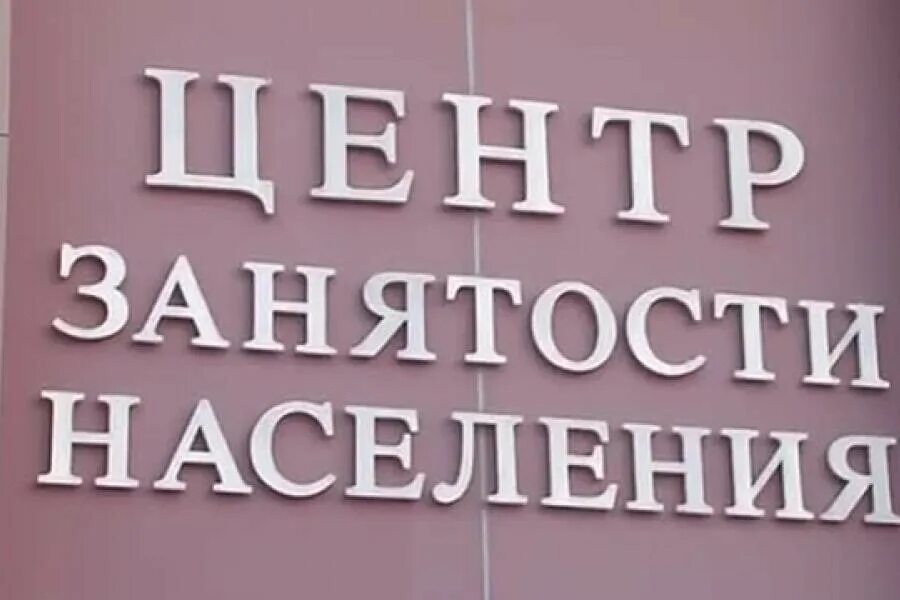 Михайловск ленина 137. Центр занятости населения. Центр занятости михайловск. Центр занятости михайловск. Гагарина 368.