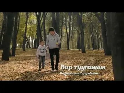 Бир тууганым ыр