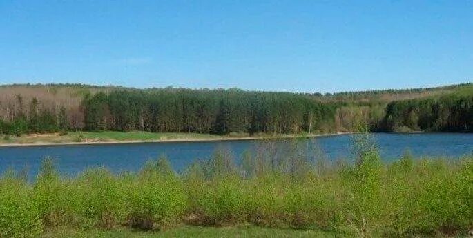 Рыбхоз шостка. Рыбхоз заря. Рыбалка в нижнем новгороде. Рыбхоз заря нижегородская область. Рыбхоз заря нижегородская.