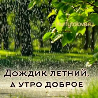 Добрый день несмотря на погоду